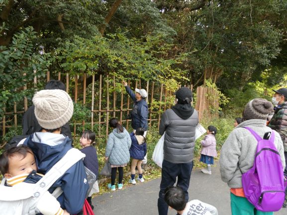 植物探検 画像