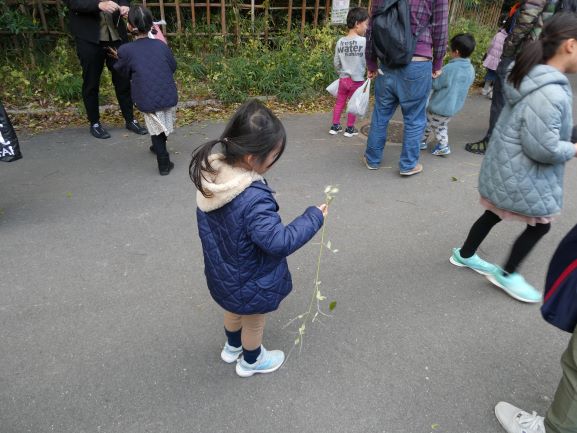 植物探検 画像