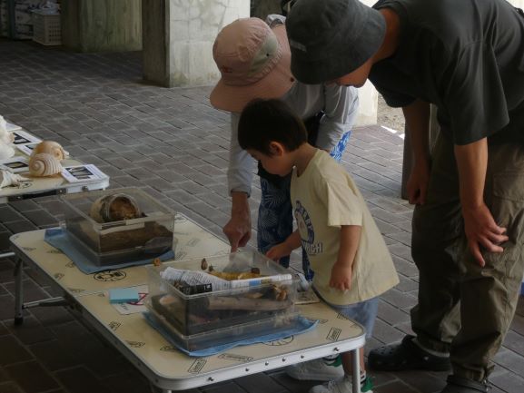 図書館夏祭り